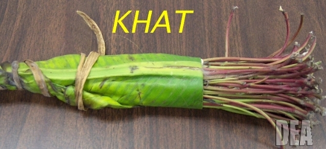 DEA color photo of Somali khat