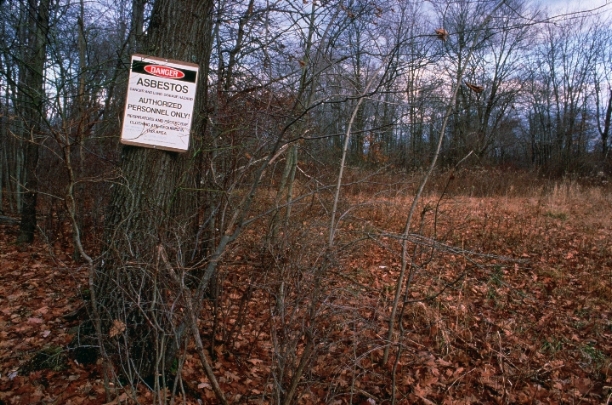 photograph of the federal government's Great Swamp National Wildlife Refuge