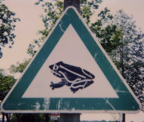 Frog-crossing traffic sign on Edewechter Landestrasse, west of Nikolaiweg, Oldenburg City near Friedrichsfehn, Niedersachsen, Germany, 10 May 2000, p.m.