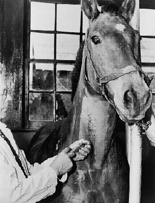 biologist and horse at the New York City Department of Health serum and vaccine farm, Otisville, New York