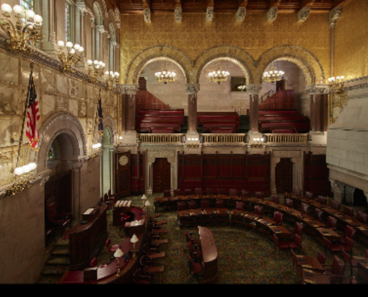 NY state senate chamber