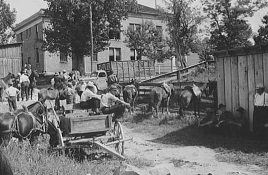 photo of Kentucky horse-trading